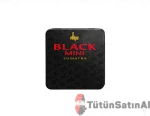 Villiger Black Mini 20's