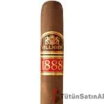 Villiger 1888 Toro Puro - Görsel 2