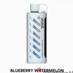 Vozol Gear Sisha 25000 Blueberry Watermelon