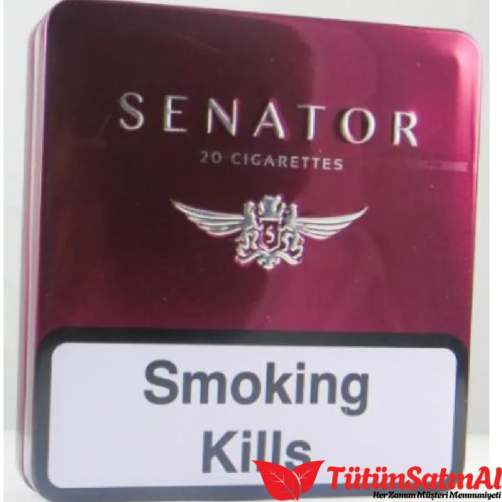 Yeni-Proje-2.webp Senator Special Pipe Tobacco Metal Kutu - Görsel 1