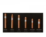 Buena Vista Araperique Robusto Puro - 1 Adet - Görsel 3