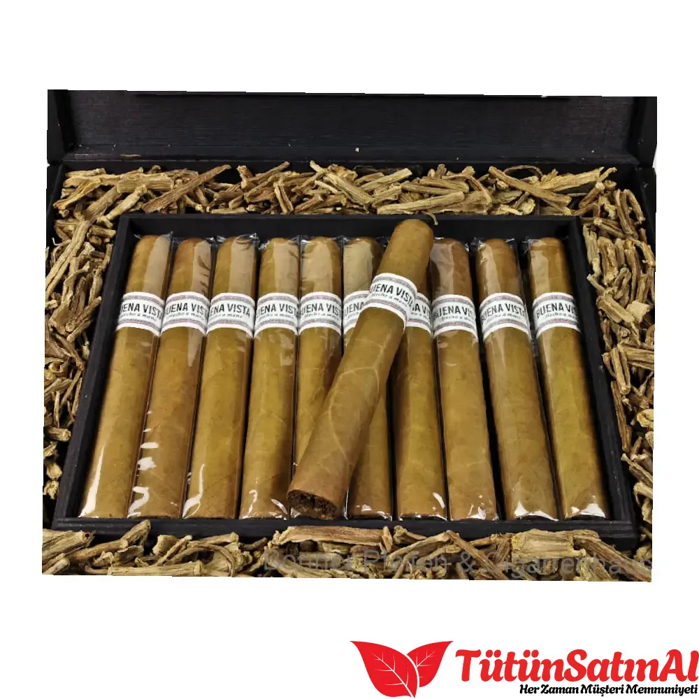 buena-vista-araperique-toro-20s-puro-tutuncesitleri50.webp Buena Vista Araperique Toro 20's Puro - Görsel 1