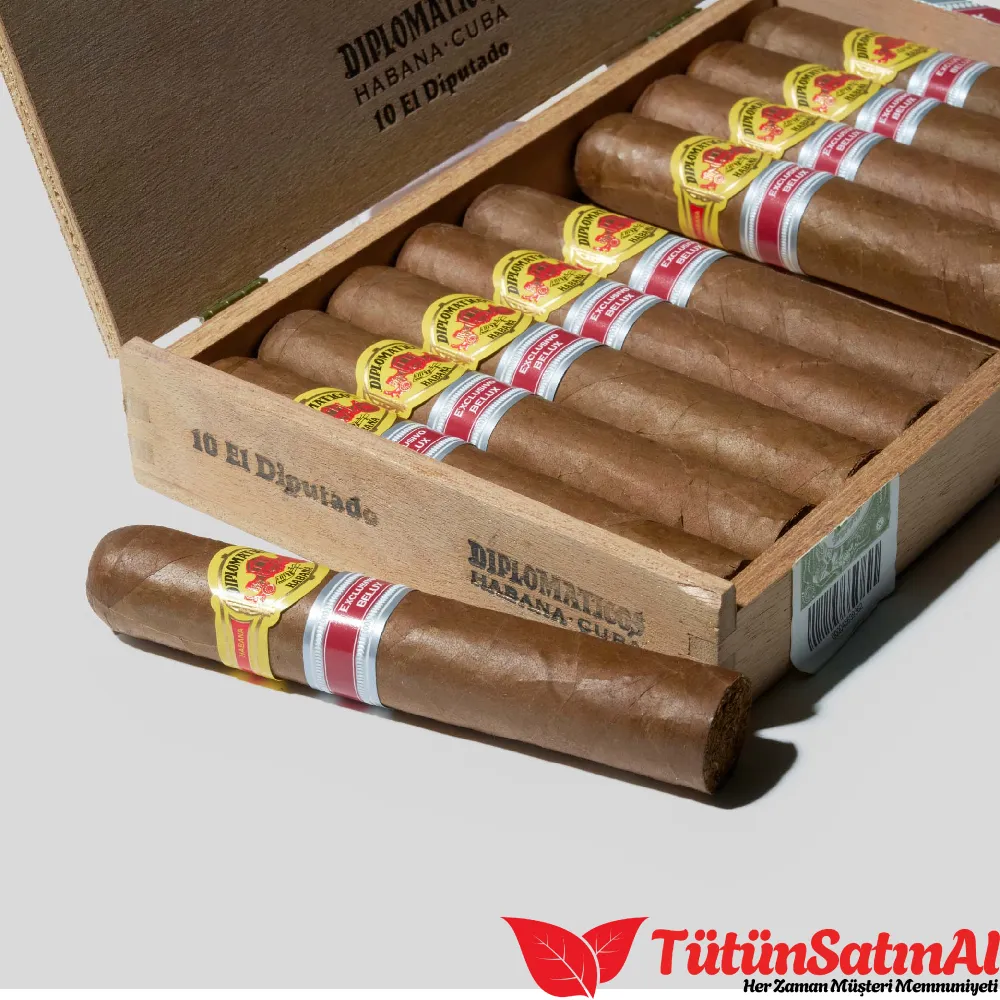 diplomaticos-el-diputado-ex-belux-tutuncesitleri50-1.webp Diplomáticos El Diputado Ex. Belux - Görsel 1