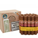 H. Upmann Magnum 54 25's Puro