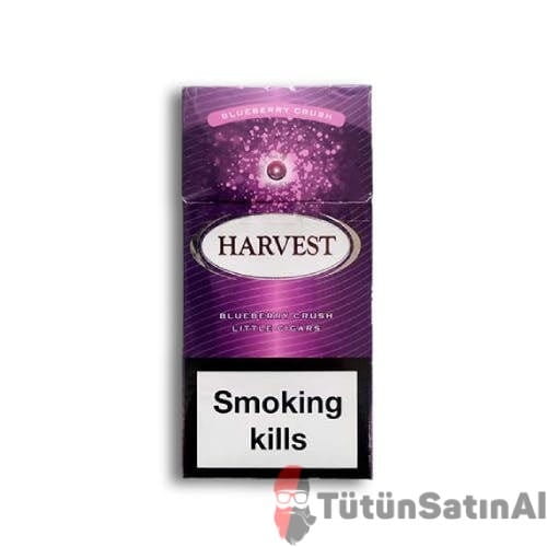harvest-blueberry-yaban-mersinlijpgw1920q75.jpeg Harvest Blueberry Crush Little (Yaban Mersinli) - Görsel 1
