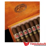 Hoyo de Monterrey Monterreyes No. 4 Edición Limitada 2021 10’lu Kutu - Görsel 2