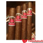 Hoyo de Monterrey Monterreyes No. 4 Edición Limitada 2021 10’lu Kutu - Görsel 4