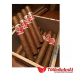 Hoyo de Monterrey Rio Seco 10's Puro
