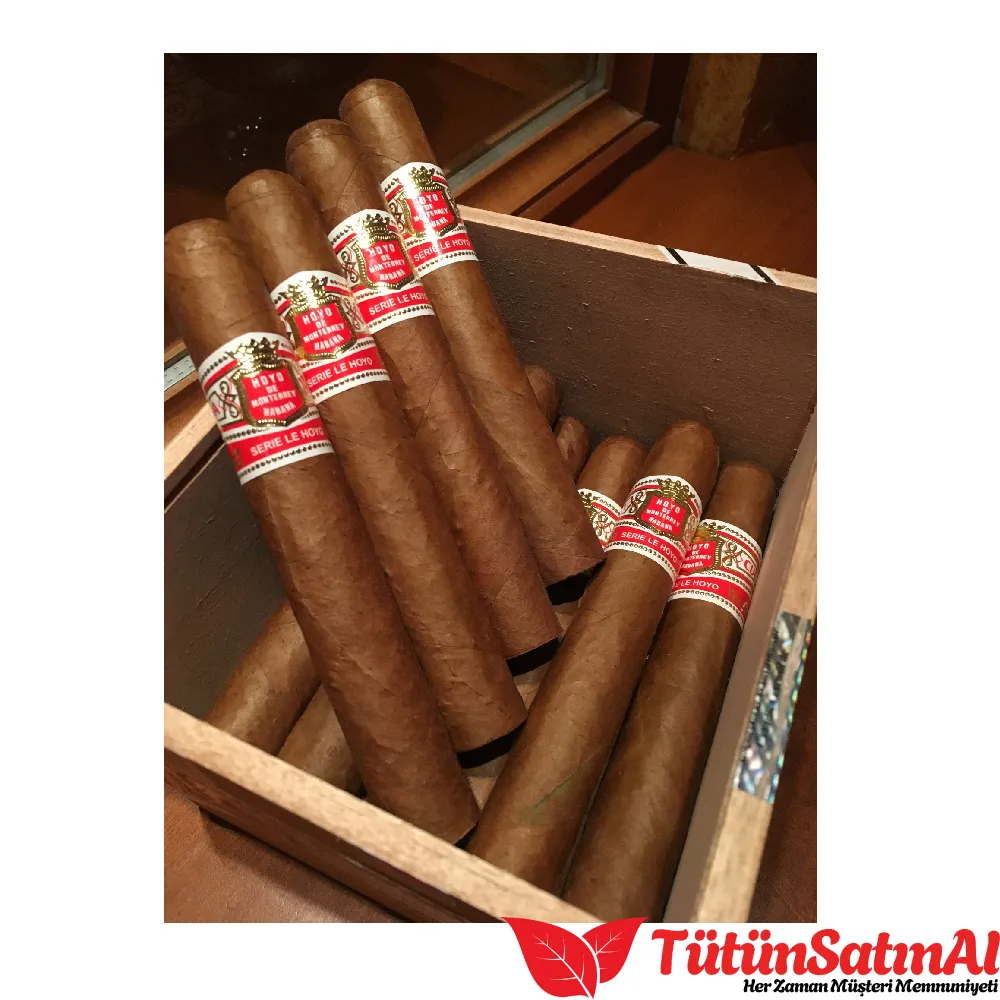 hoyo-de-monterrey-rio-seco-2-tutuncesitleri50.webp Hoyo de Monterrey Rio Seco 10's Puro - Görsel 1