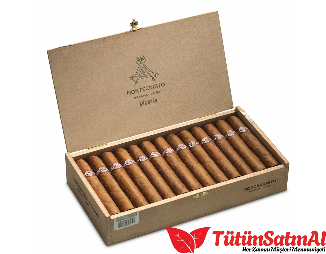 no322.webp Montecristo Edmundo 25's Puro - Görsel 1