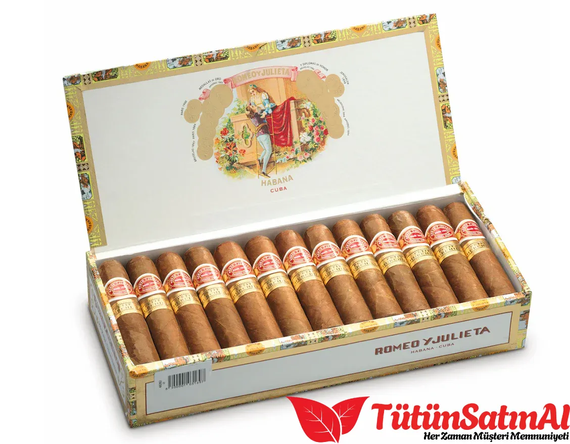no701.webp Romeo y Julieta Petit Churchills - 25's Puro - Görsel 1